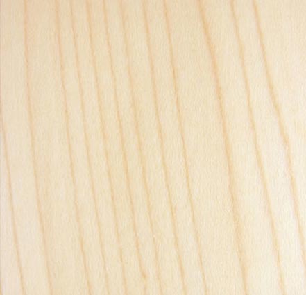 Essenza Acero - Produzione tranciati legno