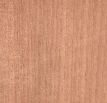 Produzione tranciati legno - Essenza Aniegrè