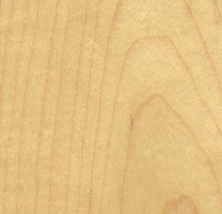 Produzione tranciati legno - Essenza Betulla