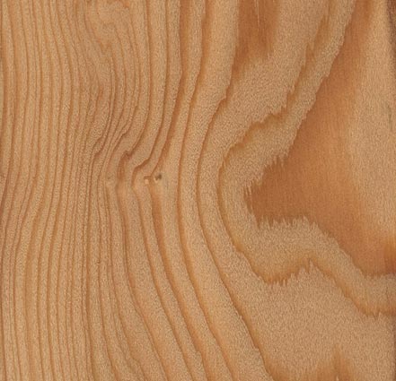 Produzione tranciati legno - Essenza Larice