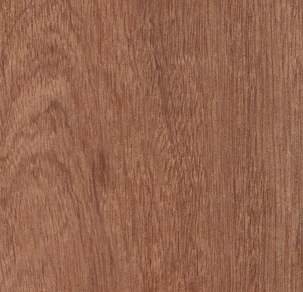Produzione tranciati legno - Essenza Mogano
