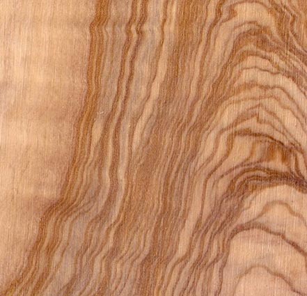 Produzione tranciati legno - Essenza Olivo