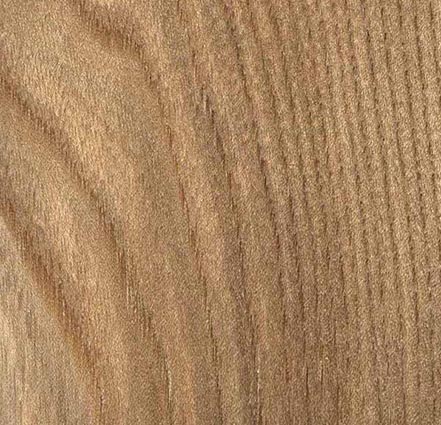 Lavorazione tranciati legno - Essenza Olmo